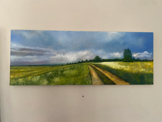 Panoramic Journey