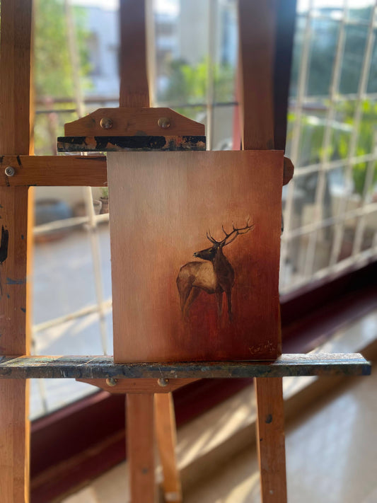 Deer