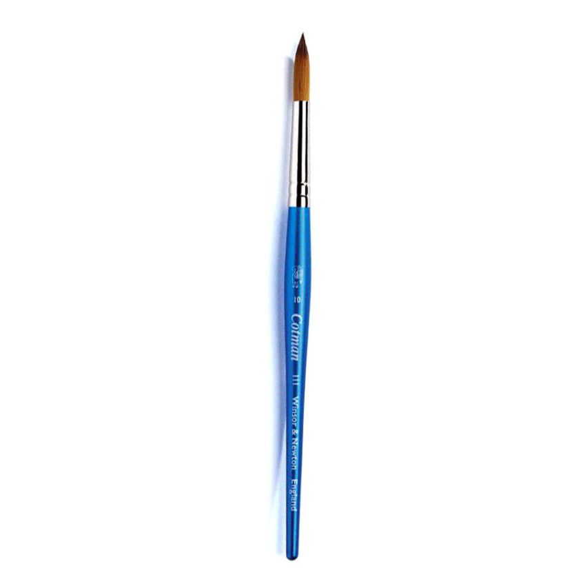 Winsor Newton Cotman Brush Series 111