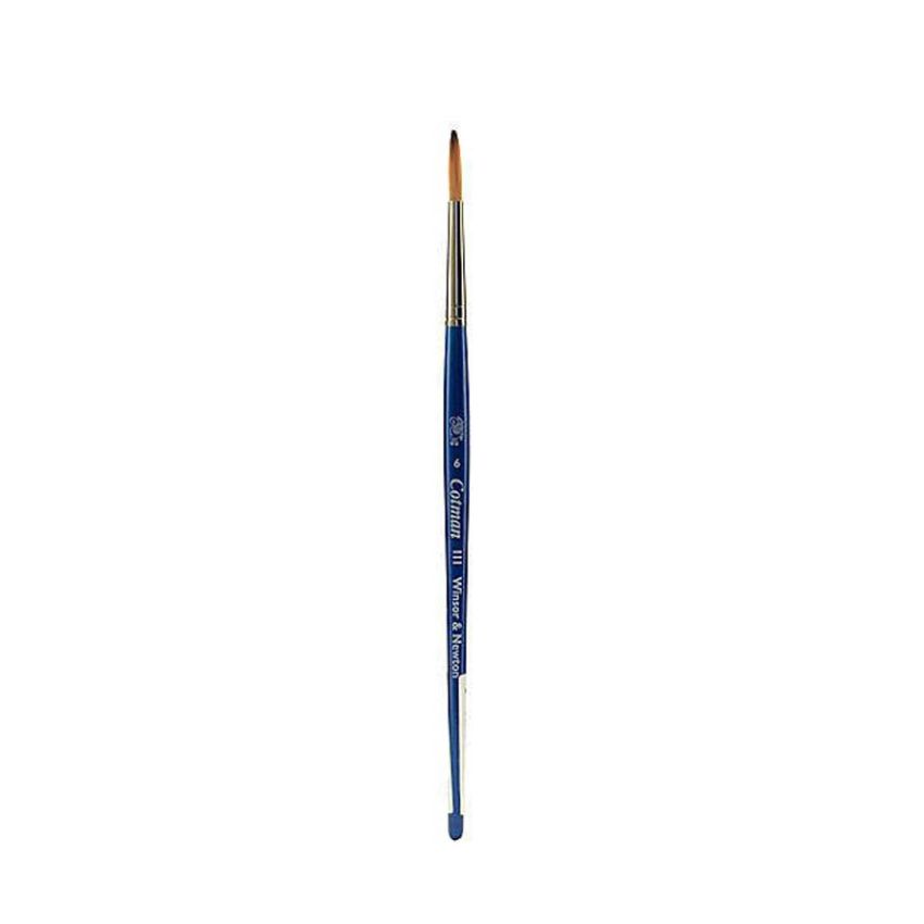 Winsor Newton Cotman Brush Series 111