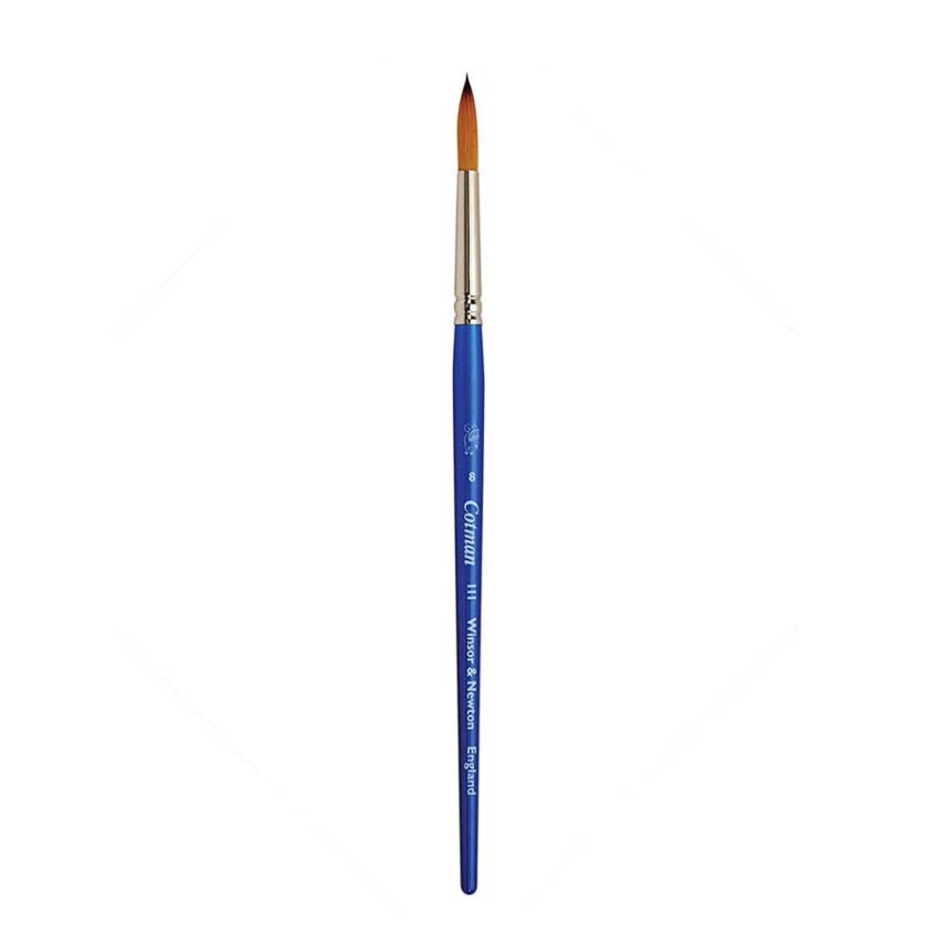 Winsor Newton Cotman Brush Series 111